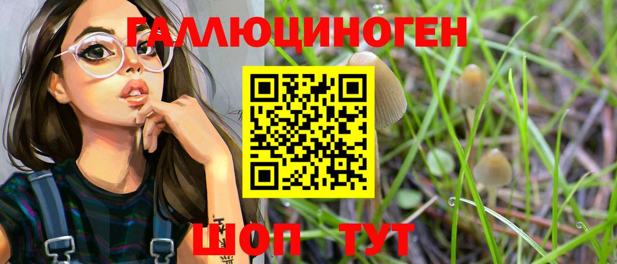 Псилоцибиновые грибы Cubensis Сыктывкар